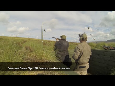 Coverhead Driven Grouse Shooting Action 2019