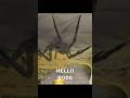 BODE Brings Spider In His House Shortsfeed Lockeandkey Movieclips