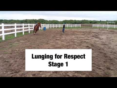 Colt Starting using the Clinton Anderson Method Part 6