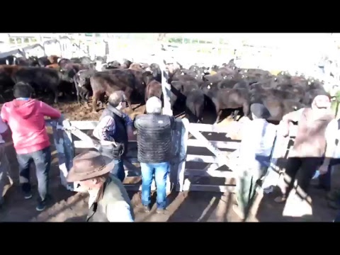 REMATE FUENTES GRAL ACHA