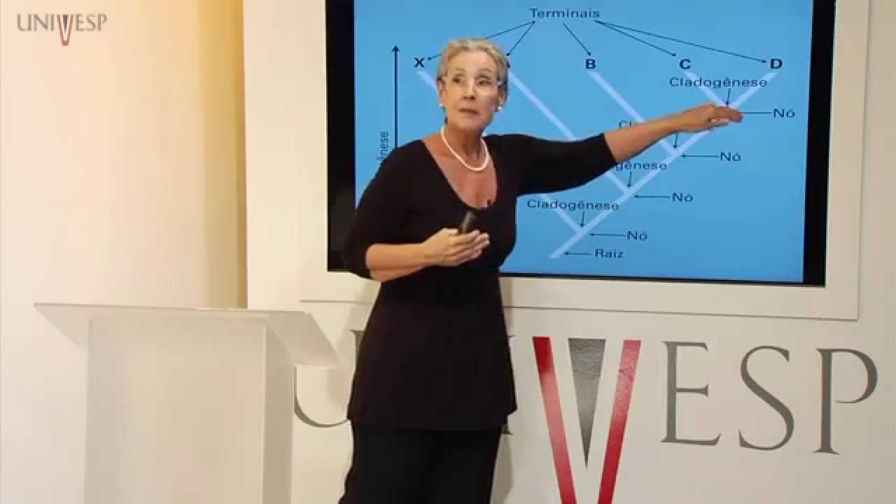 Biologia Geral - Aula 10 - Princípios de sistemática filogenética