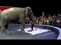 Barnum And Bailey Part 17 Kputiebakes
