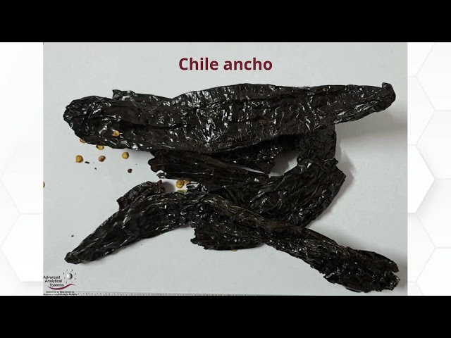 imagen-video-thefoodtech