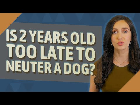 Is 2 years old too late to neuter a dog?