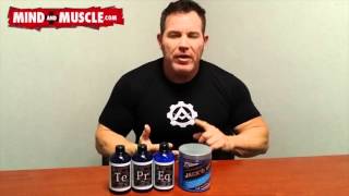 Mind & Muscle - Basic Mass Stack Overview