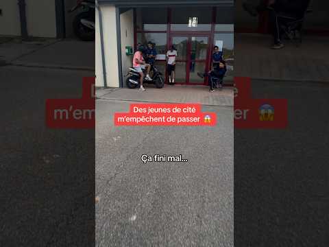 They didn't attack the right person 😤😤￼ #nino #malinois #dog #chien #official #guard