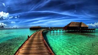 ליבי   שלמה כהן