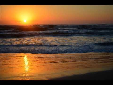 Melodic Techno set 2 (Worakls, N'to, Rodriguez jr...)