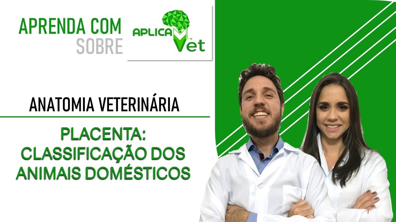 Anatomia Veterinária - Placenta - Classificação nos Animais Domésticos