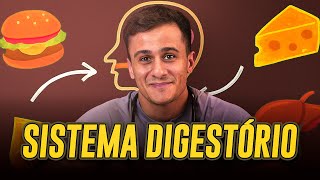 Construção da base de Sistema Digestório para o ENEM 2026 (extremamente didática)