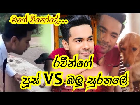 Raween Kanishka | Anuhas | Deweni inima | best tele actor in srilanka | Cats and dogs