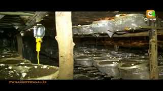 Smart Farm: Mushroom Farming
