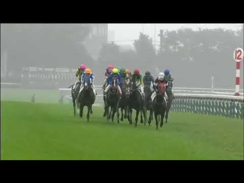 2017.10.29 2yo Newcomers (JPN) - Satono Saltus