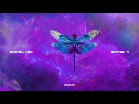 Domnul Udo - Ridica-te Ioane (Audio)