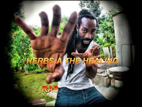 Ras Zacharri - Herbs Healing - Kasha Rootz Production 2016