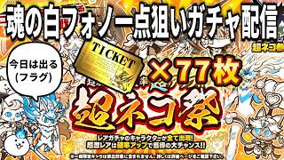 魂の白フォノ一点狙いガチャ配信【にゃんこ大戦争】【超ネコ祭】【白フォノ】