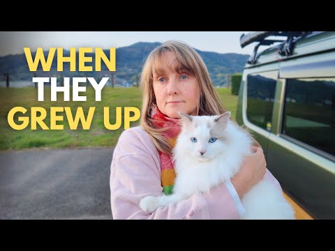 When My Kids Grew Up...Everything Changed