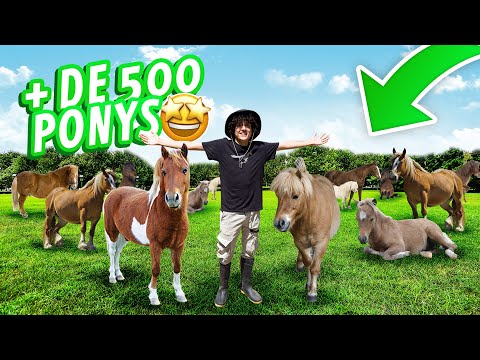 CUIDANDO ANIMALES QUE NO SON MIOS