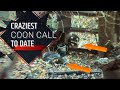 Craziest Raccoon call we have ever made!