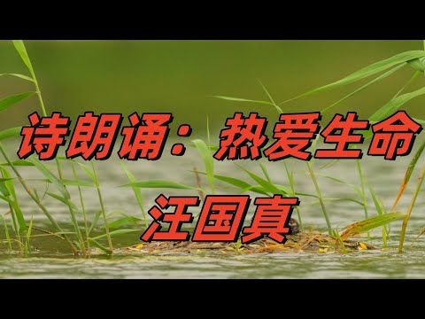 汪国真经典朗诵：《热爱生命》#诗歌朗诵#经典诗词#生命#诗意人生#中文诗歌#文学#励志诗歌#感悟生命#舒情诗#汪国真