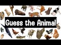 Guess The Animal Sound Game 30 Animal Sounds Quiz Wildlife Trivia