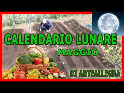 Lalcolismo di genitori come combattere Ipnosi allatto di cura di alcolismo