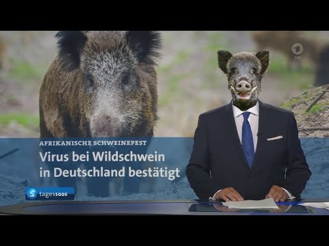 Youtube Shit - The Days SooSe