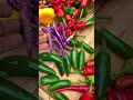 Naming All Kinds Of Peppers From Our Garden Harvest