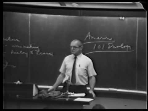 Introduction to Winemaking: VEN3 Lecture11 - Maynard Amerine