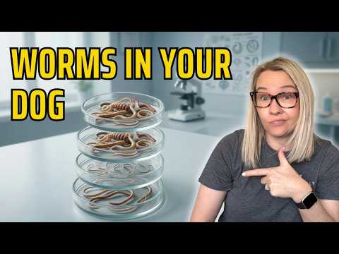 The Hidden Menace: Uncovering Symptoms of Worms in Dogs