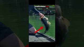 Others Fishing vs This Guy...