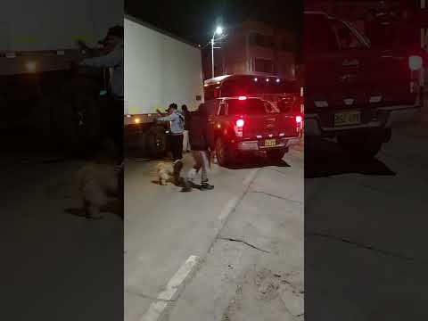 Lucanas Ayacucho una camioneta impacto contra un Semitrailer