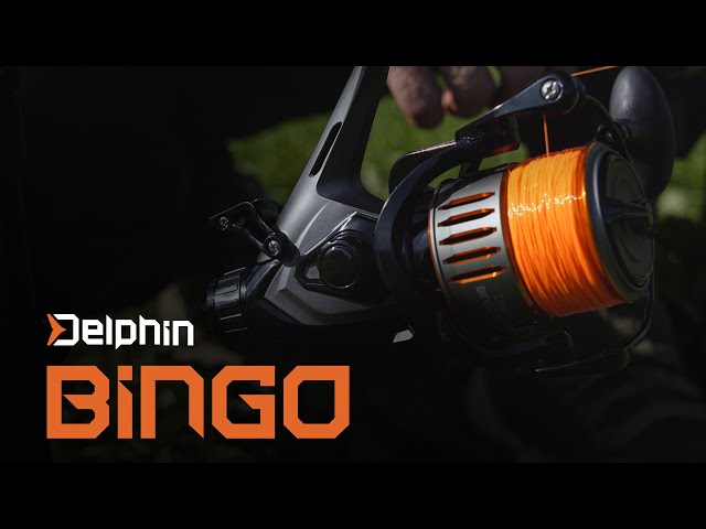 Bingo reel