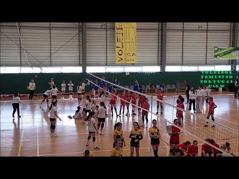 🏐 Voleibol: SC Arcozelo x SL Benfica ( U13 W ) Torneio Ano Novo