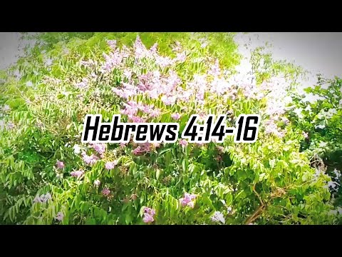 Scripture song: "Hebrews 4:14-16"