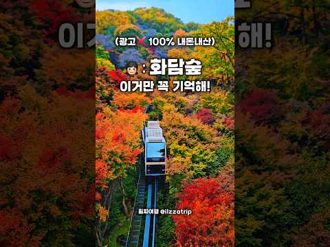 Fall's Arrival: The Beauty of Autumn Mornings