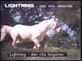 VHS Trailer Lightning The White Stallion 1986