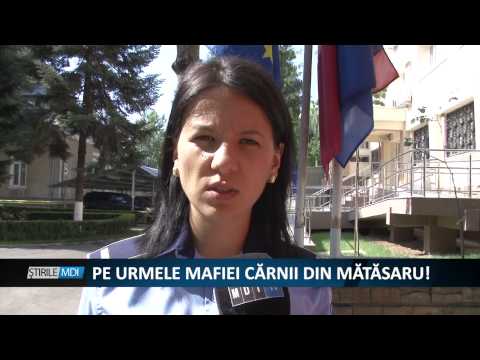 PE UMELE MAFIEI CARNII DIN MATASARU    - MDI TV