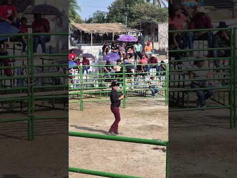 Halcones del Norte en San José La Loma, San Antonio Masahuat #sanantoniomasahuat #lapazcentro