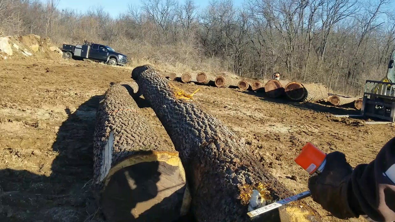 Determining log lengths