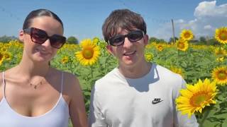 Treviso, il campo dei girasoli di «Nonno Andrea»: il video dei visitatori tra i fiori a perdita d...