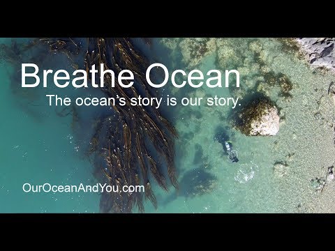 Breathe Ocean. The ocean's story is our story. Featuring Annie Crawley