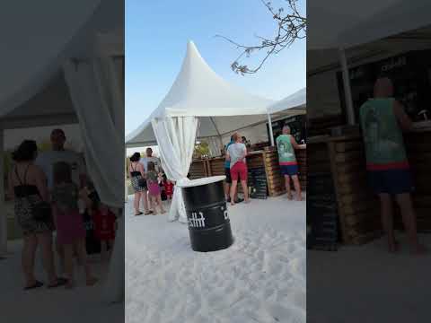 “Willkommen bei den Schnorrelli Brothers – wo Ibiza-Vibes auf Rocker-Style treffen und Spaß kostet😎