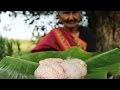 Bheja Fry Recipe Yummy Goat Brain Fry By Granny Country Foods