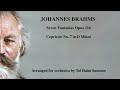 Johannes Brahms -  Capriccio in D minor Op. 116 No. 7 (Arranged for Orchestra by Tal Haim Samnon)