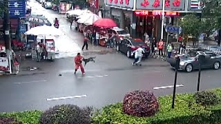 Ferocious Dog Attacks People, over 20 Injured