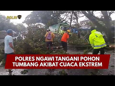 PRESISI UPDATE: POLRES NGAWI TANGANI POHON TUMBANG AKIBAT CUACA EKSTREM 12/04/2026 15.00