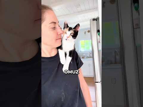 Kedinizi DOĞRU Şekilde Kucaklamanın 3 Yolu 🐱🐾