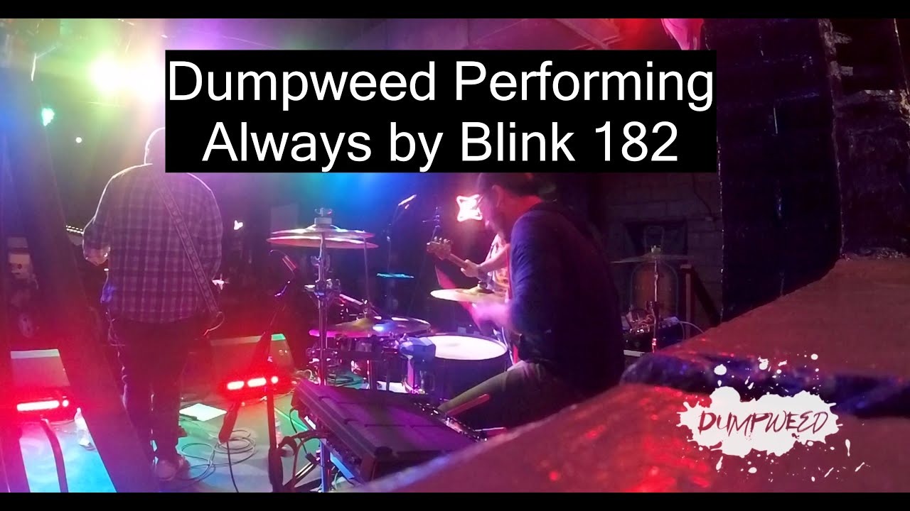 Promotional video thumbnail 1 for Dumpweed
