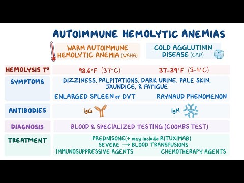 Warm Autoimmune Hemolytic Anemia (wAIHA): Causes ...